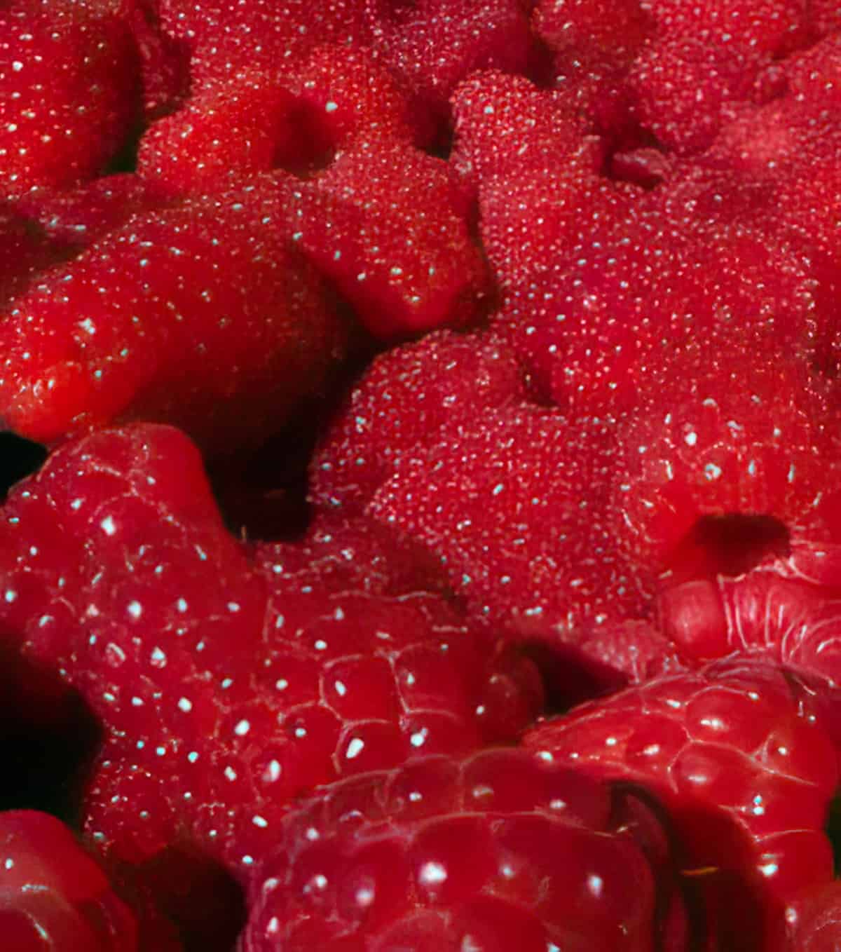 Raspberry Torte Recipe