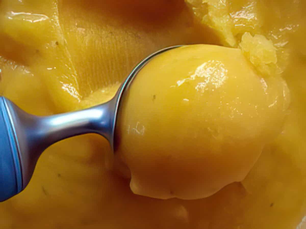 Mango Recipes