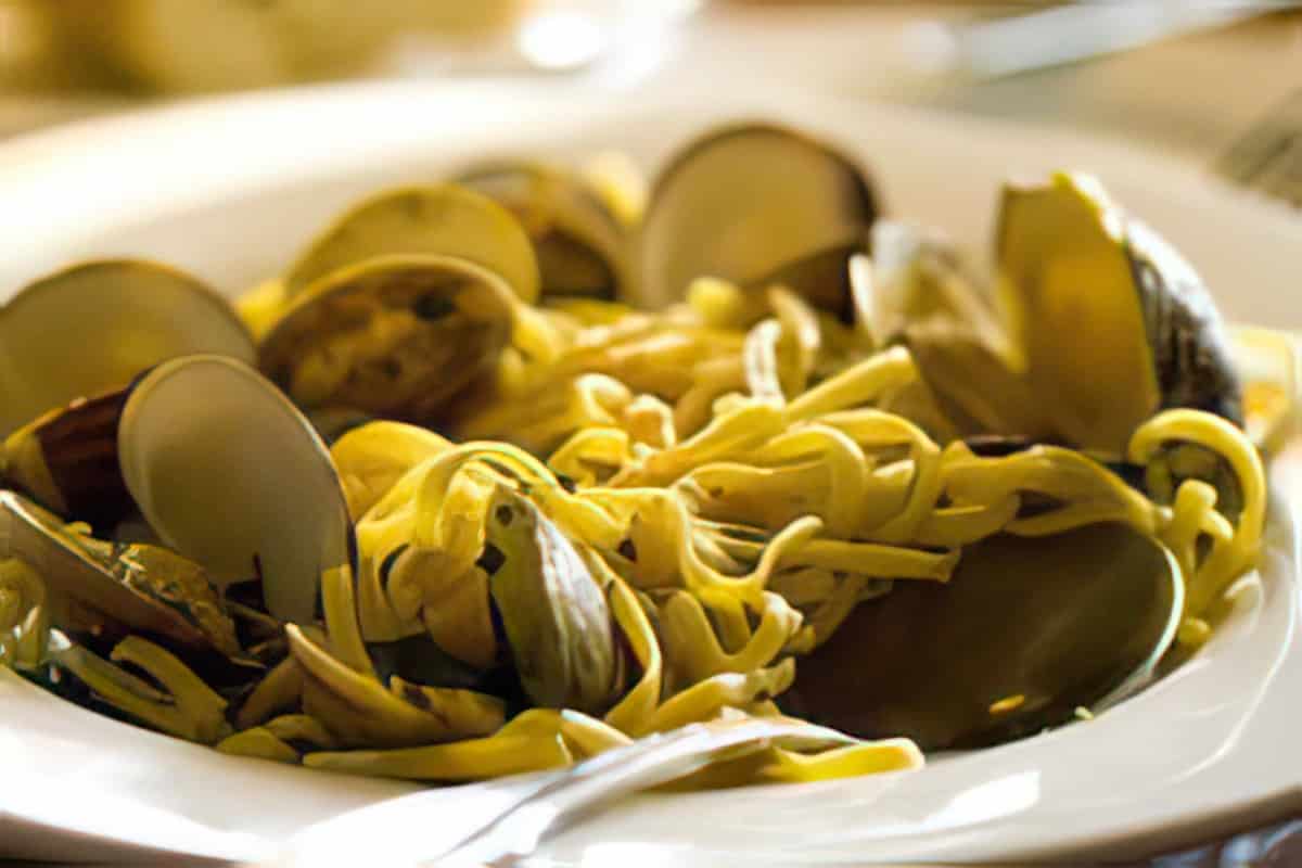 Spaghetti Recipes