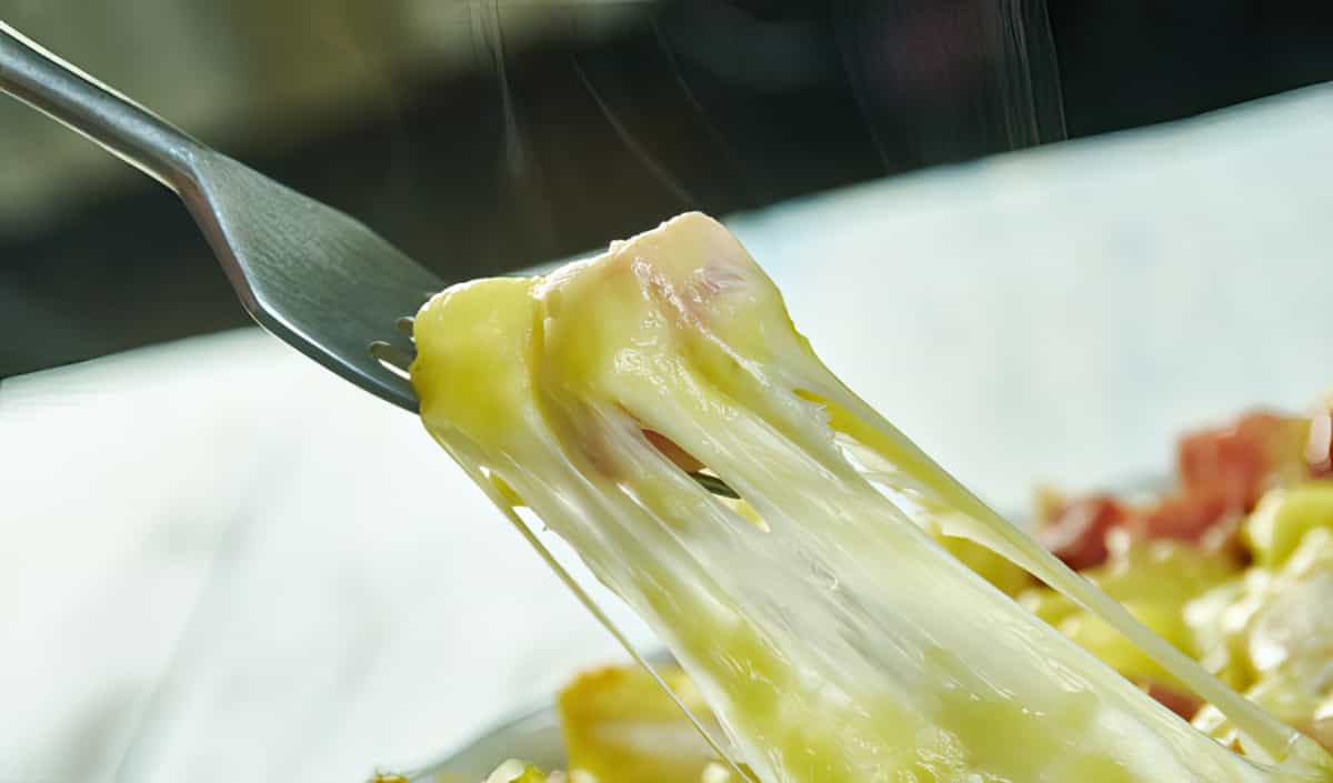 Cream Soup Recipes