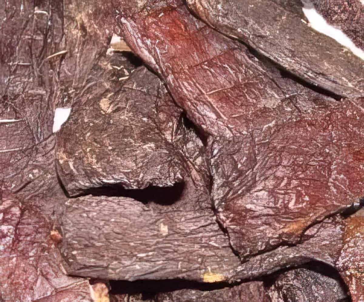 Best Venison Jerky Recipes