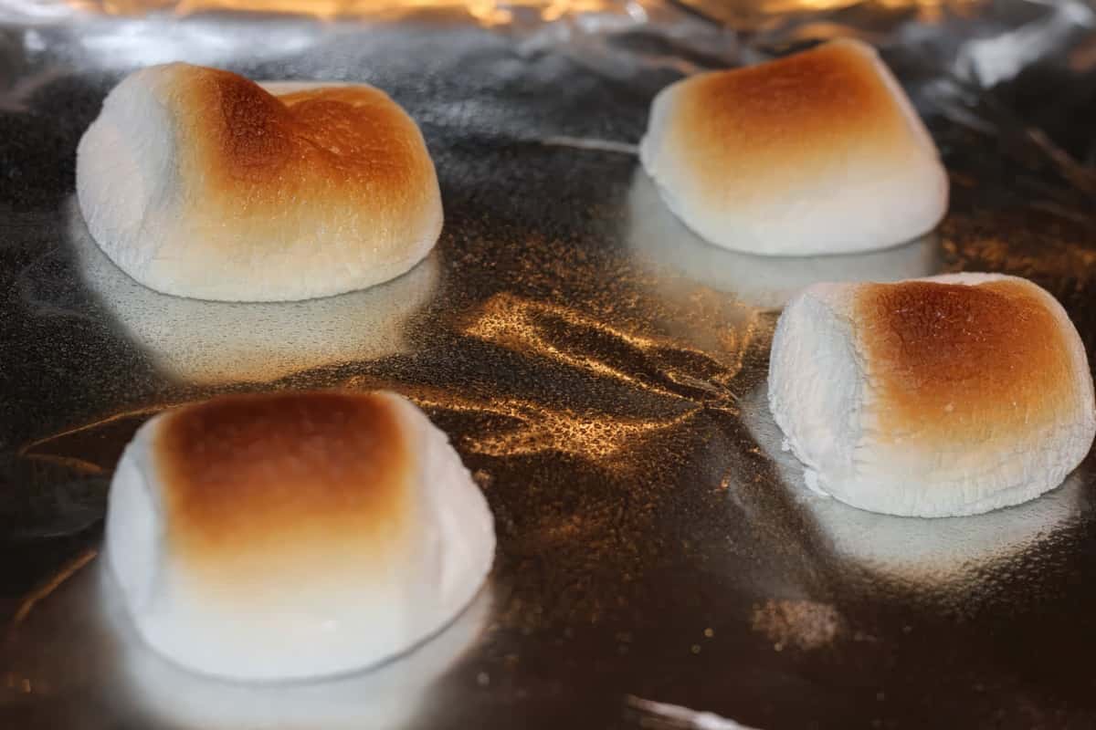 Summer Picnic Food Recipes