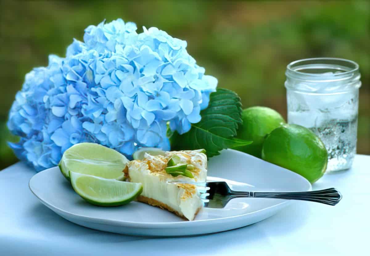 Best Key Lime Pie Recipe #MissHomemade